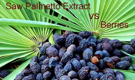 Saw Palmetto Extract vs Berries: Which Works Best
